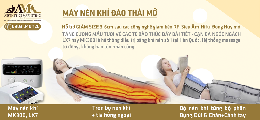 Máy thẫm mỹ Mk 300L